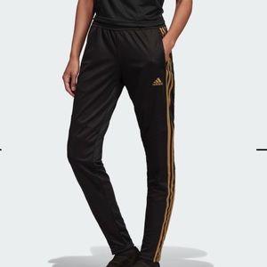 Adidas Tiro 19 Training Pants